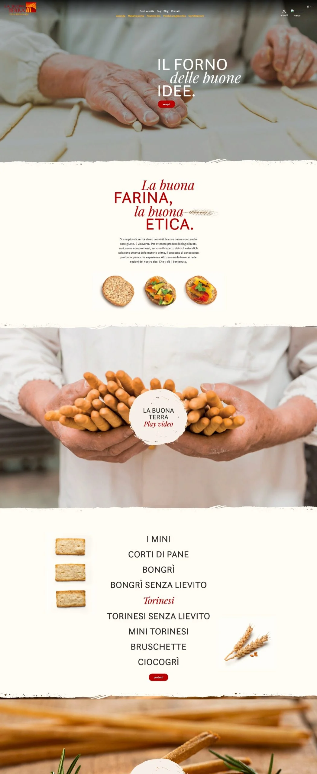 Project 1 Screenshot 1