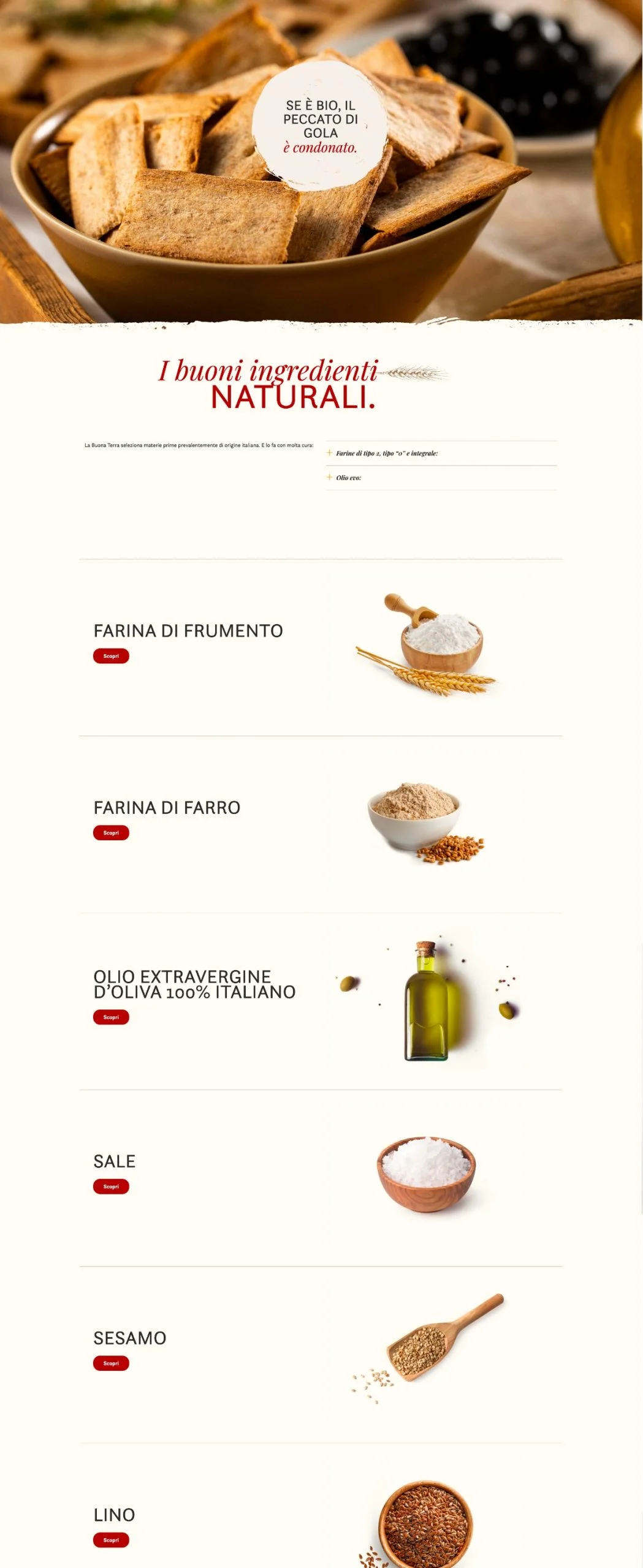 Project 1 Screenshot 2